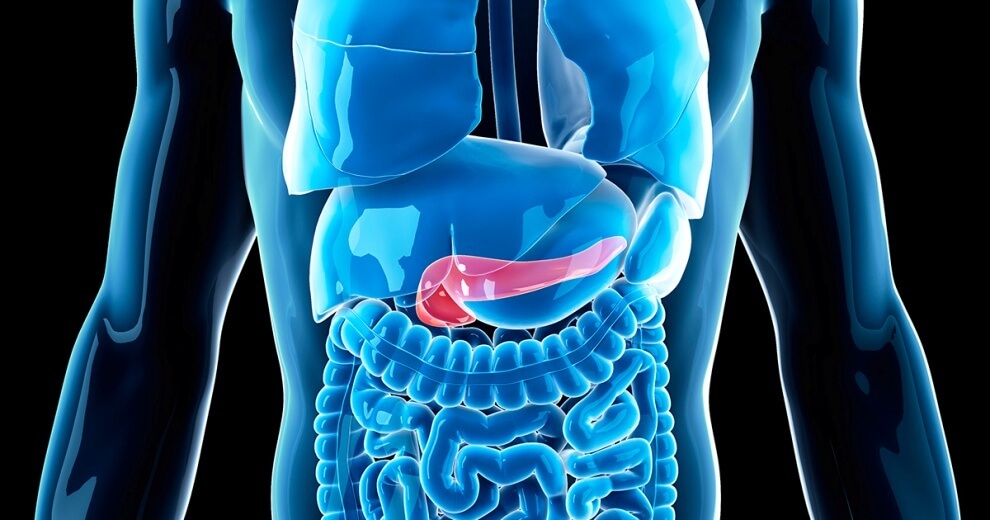 10 činjenica o raku pankreasa